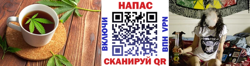гидра зеркало  Пугачёв  Cannafood конопля 