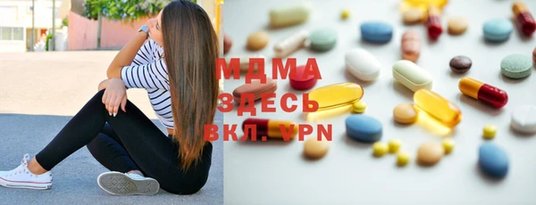 хмурый Аркадак