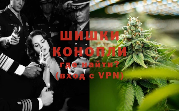 ГАЛЛЮЦИНОГЕННЫЕ ГРИБЫ Арсеньев