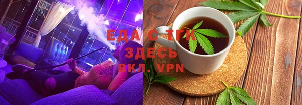 хмурый Аркадак
