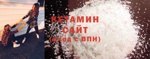 хмурый Аркадак