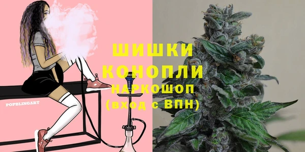хмурый Аркадак