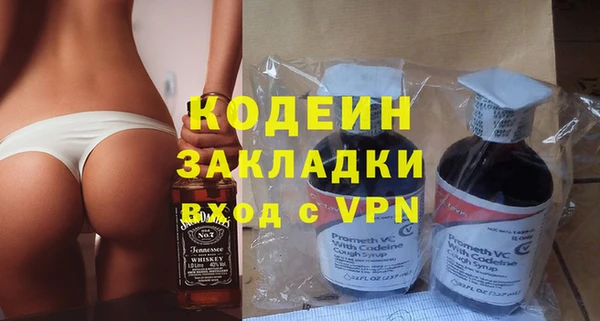 хмурый Аркадак