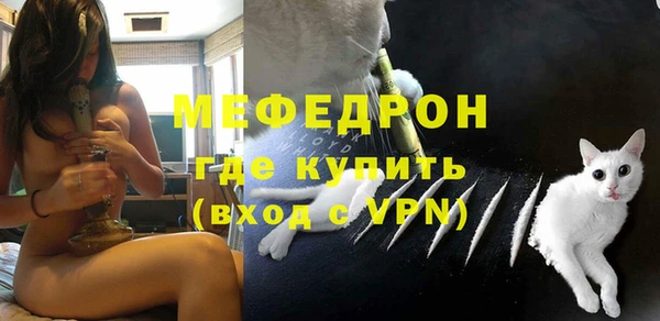 хмурый Аркадак