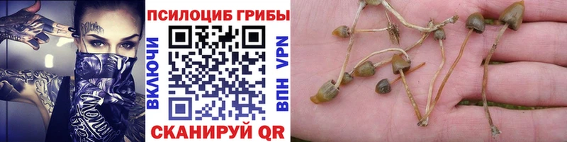 Галлюциногенные грибы мухоморы  Пугачёв 